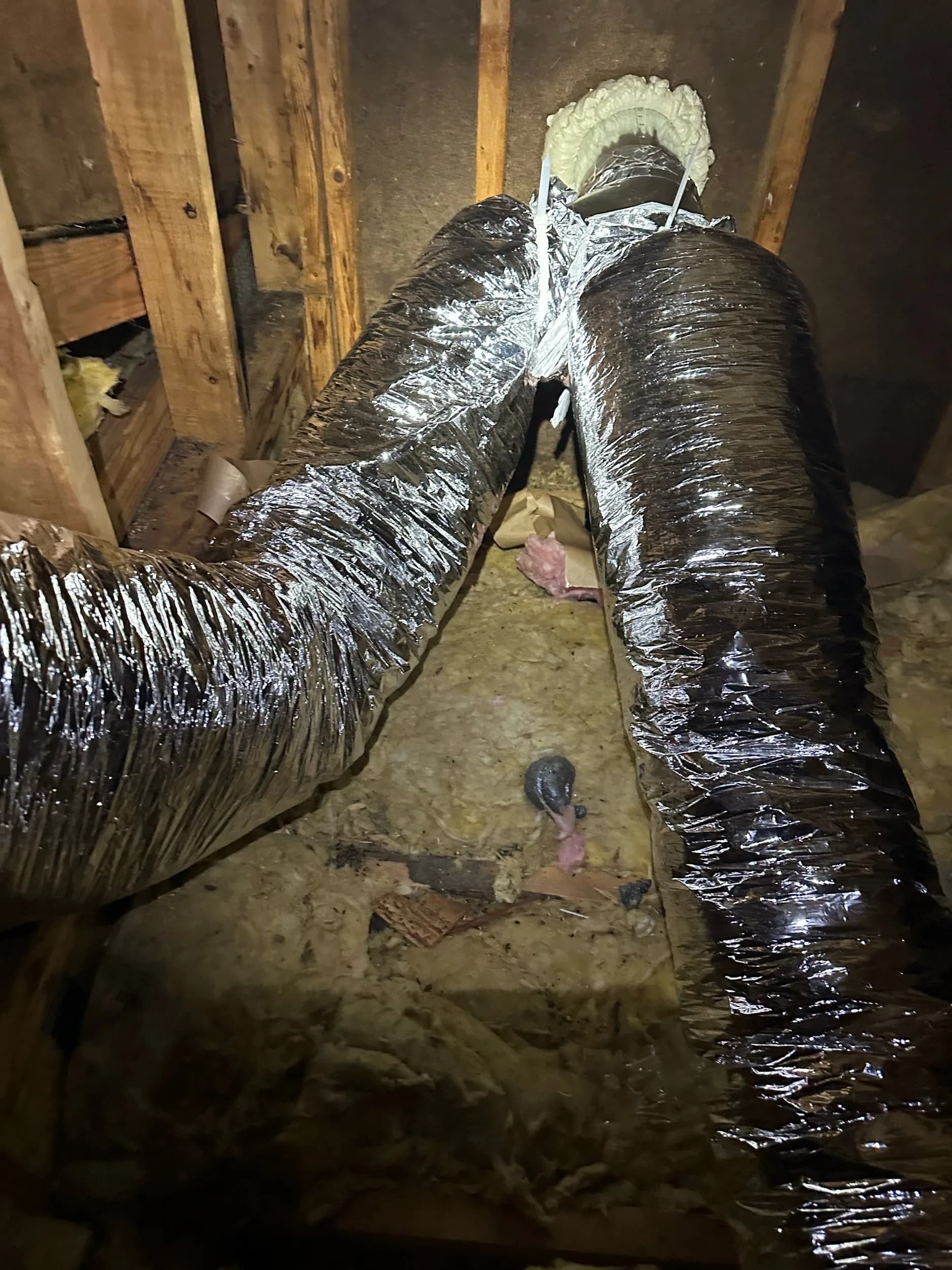 Attic Duct Connection Tangled Flex Lines