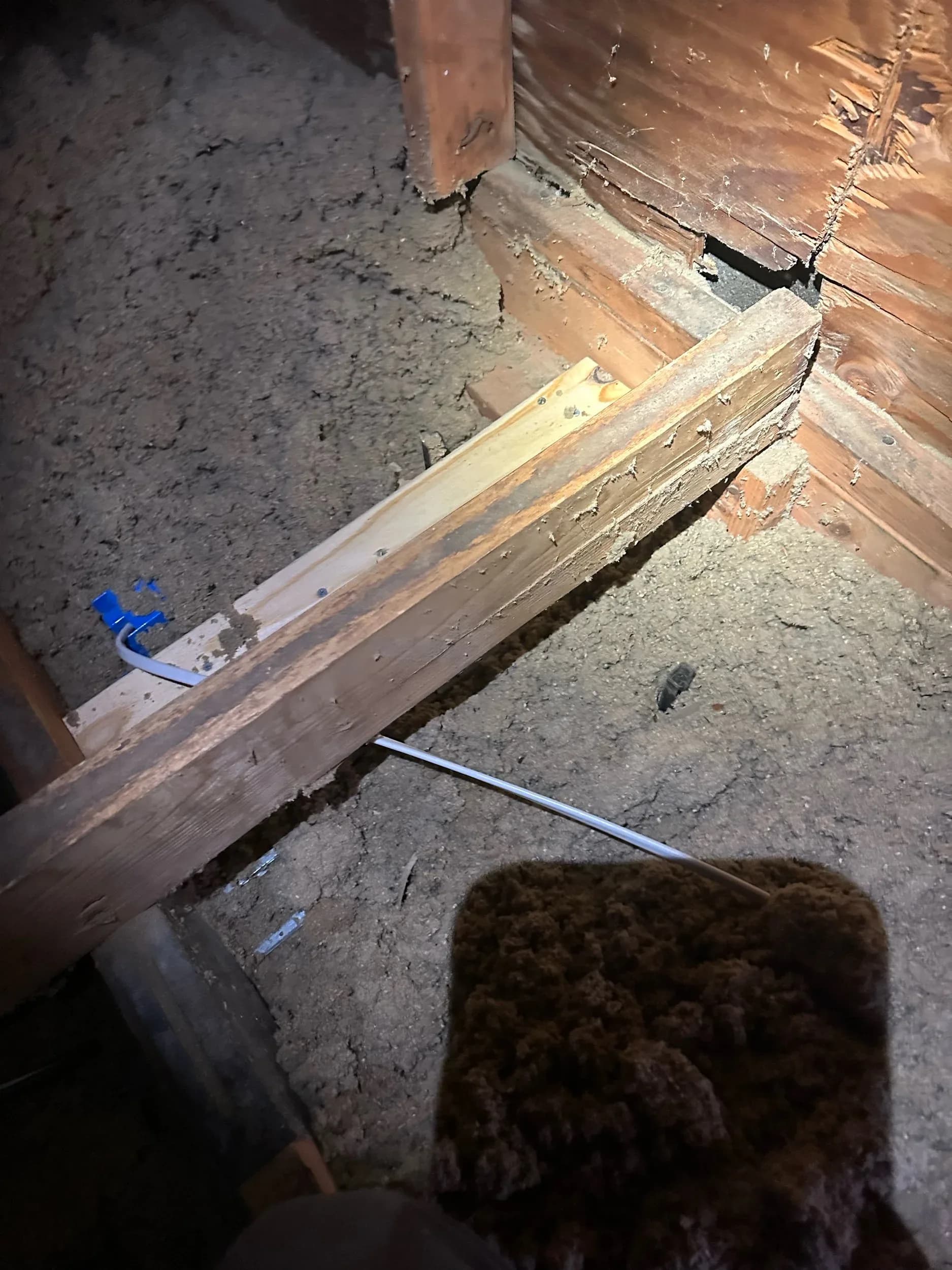 Attic Electrical Wire Run Floor Joists Blue Staple