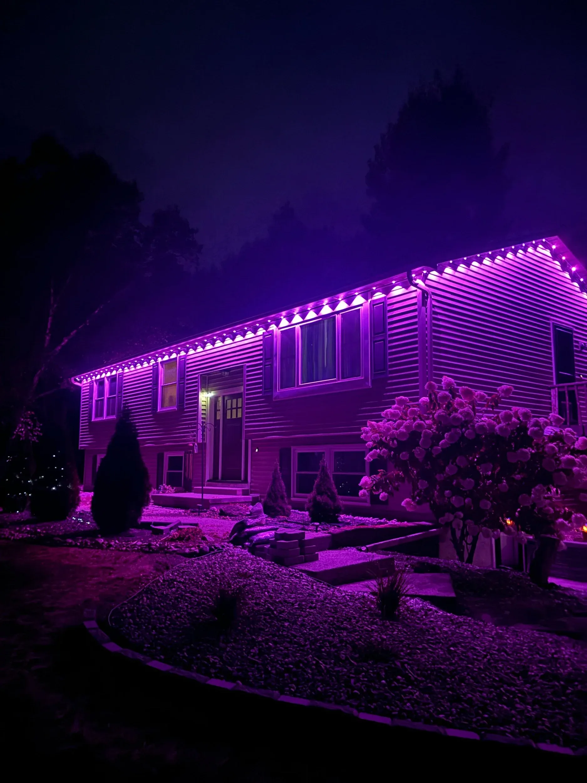Purple Permanent Lighting Raised Ranch Landscape View