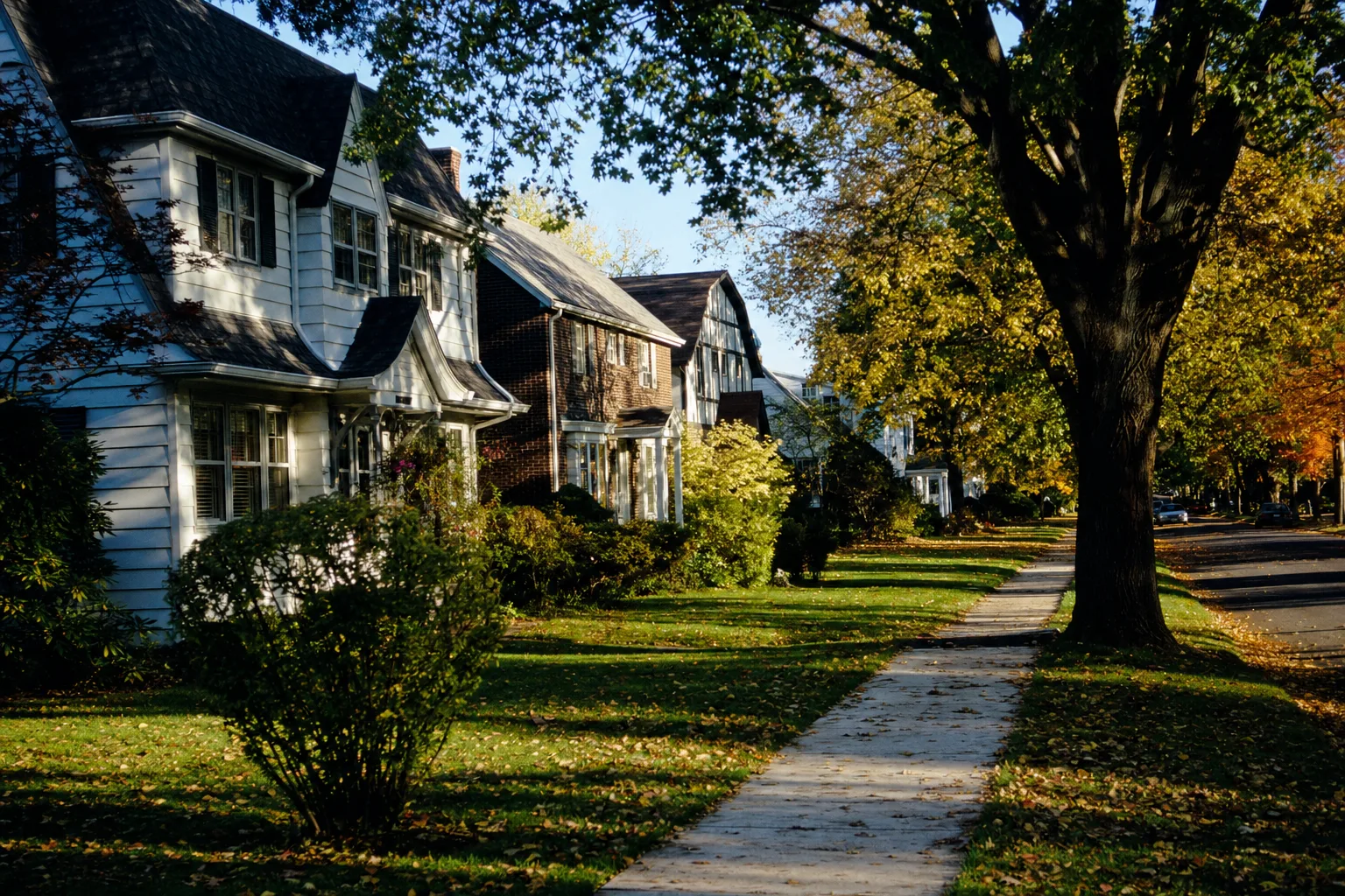 Leafy residential street with colonial and Tudor-style homes and large shade trees in Delmar, NY
