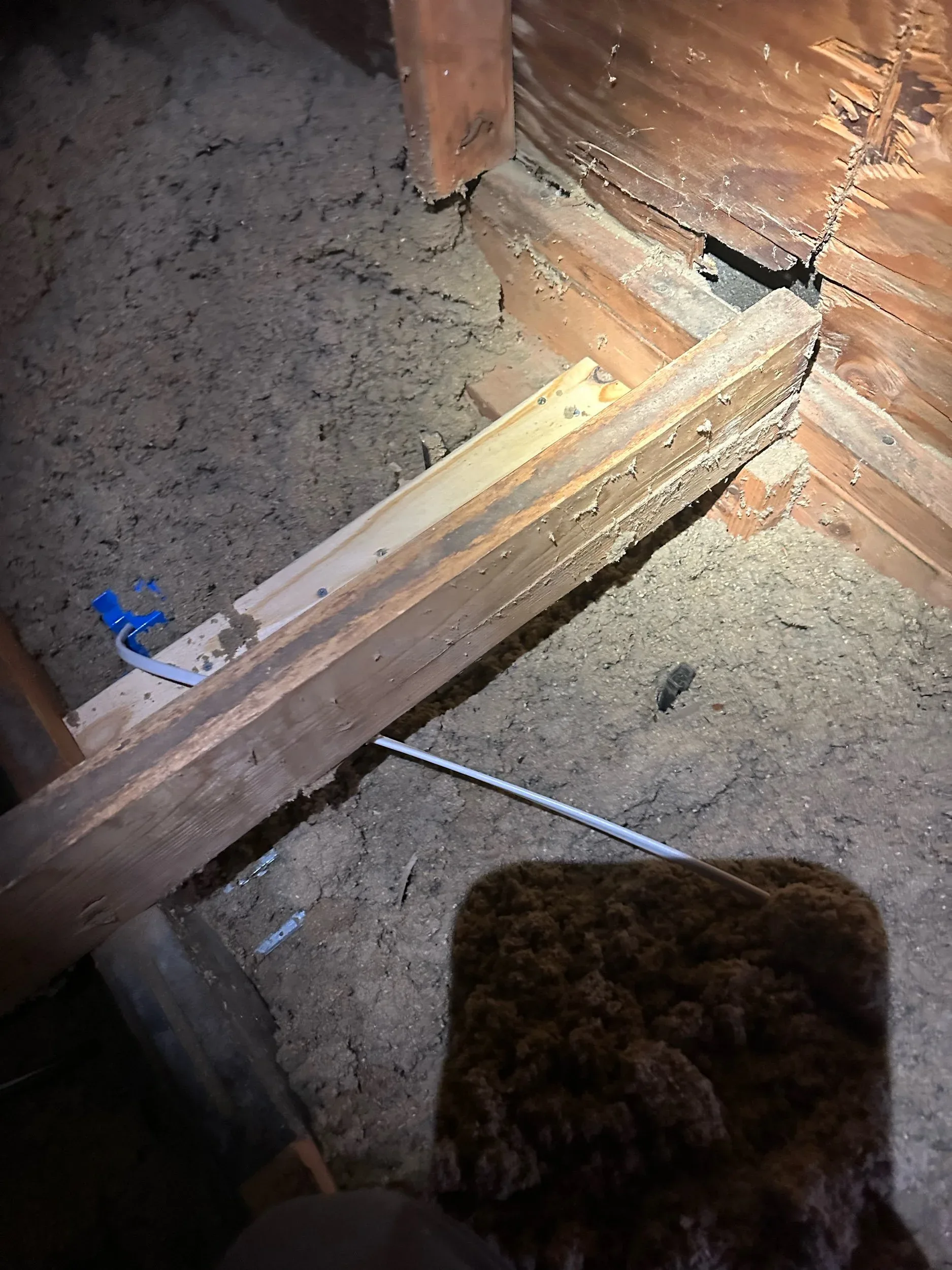 New electrical cable stapled along attic floor joists during a rewire